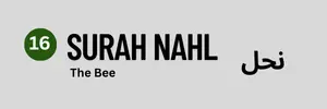 Surah Nahl