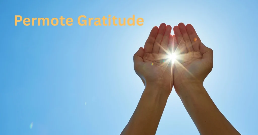 Permote Gratitude