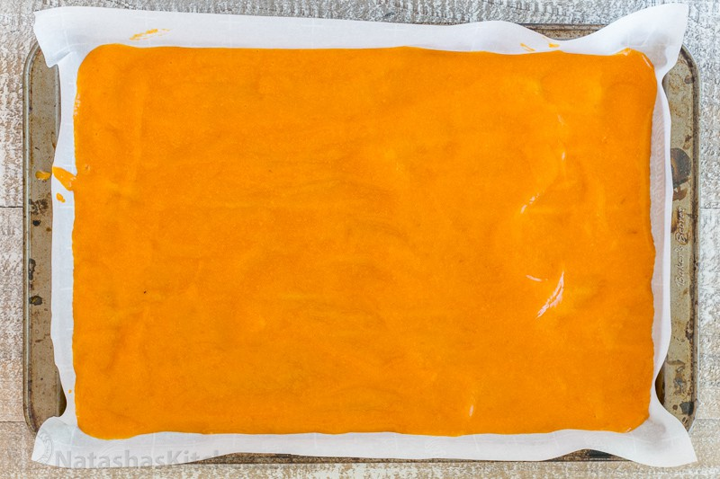 Apricot Fruit Leather Recipe – A Sweet & Healthy Homemade Snack 3 image 147